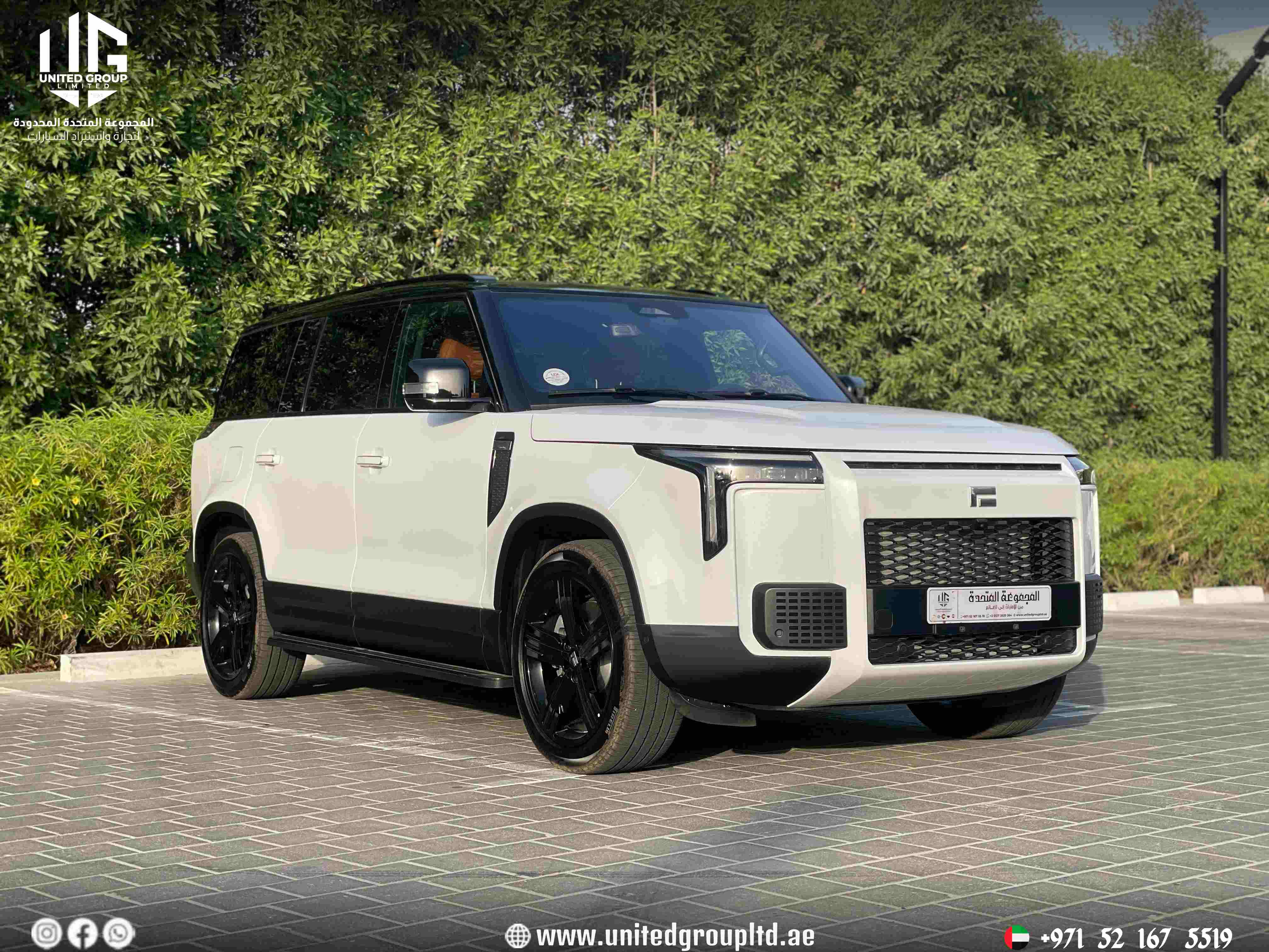 ROX 01 2025, HYBRID, 7 seates